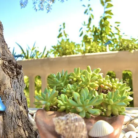 Bed & Breakfast Il Giardino Stellato